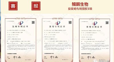 k8·凯发生物 | 核心平台技术获得中国发明专利