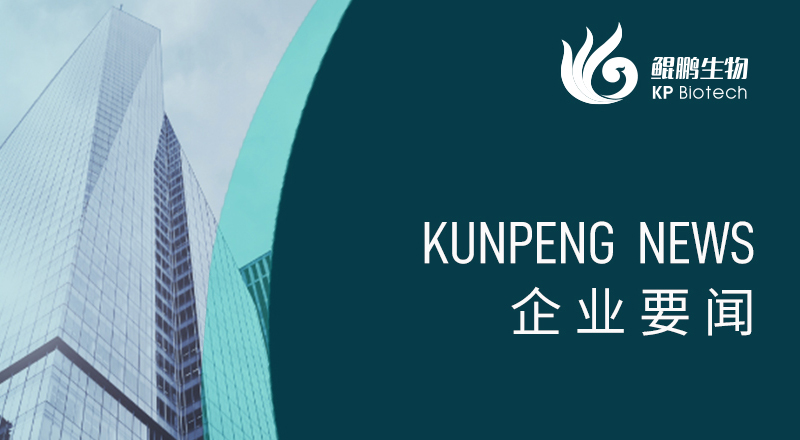 科技引领 “兔”显创新——宁波k8·凯发荣获“高新技术企业”及“创新型中小企业”认定