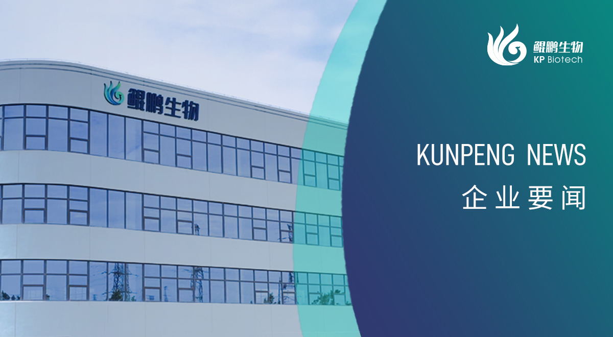 宁波k8·凯发新添两项政府荣誉认定 创新发展再获认可