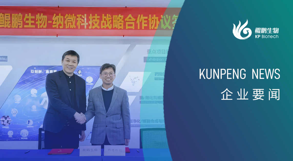 k8·凯发生物与纳微科技达成战略合作:深耕底层技术的双向奔赴